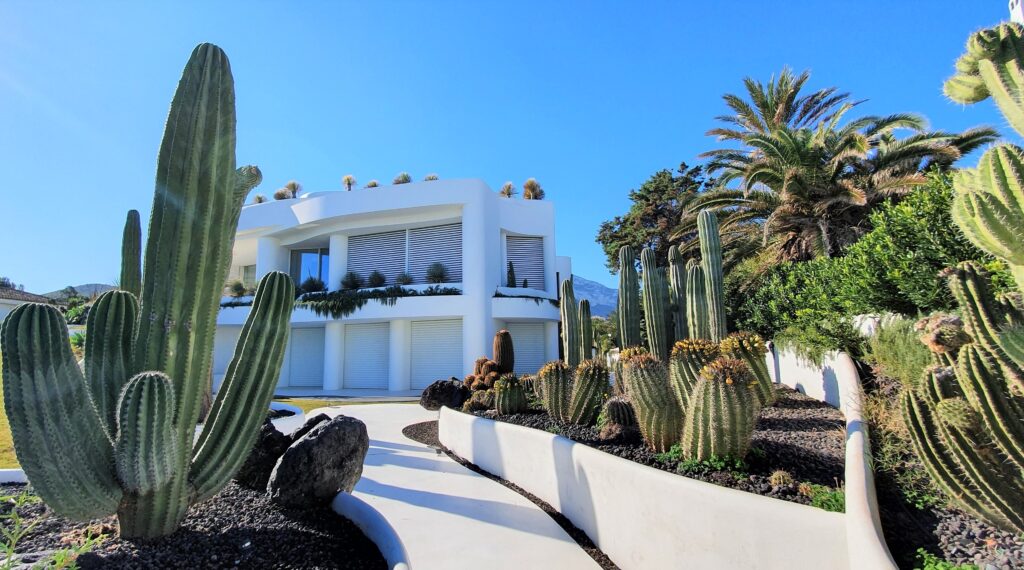 Effortless Elegance: Discover Modern Landscaping Services in Denver